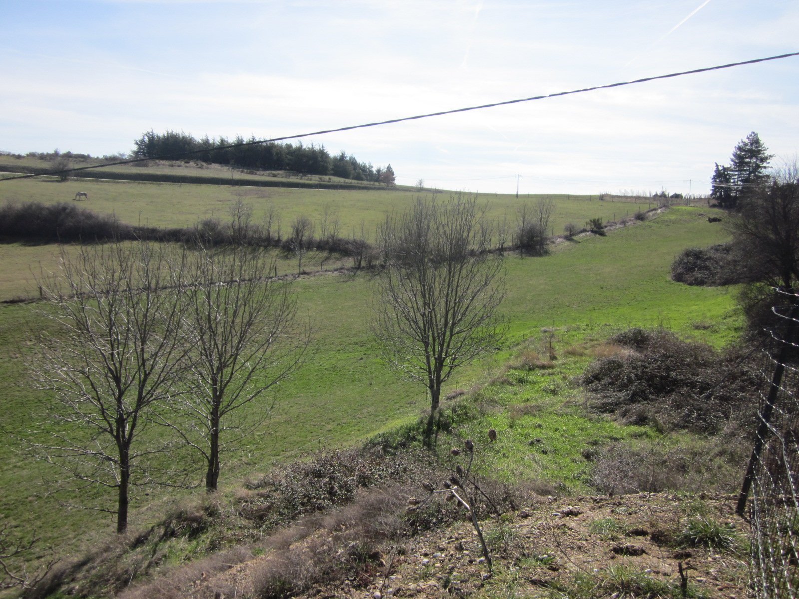 Terrain agricole EN AOC CORNAS
