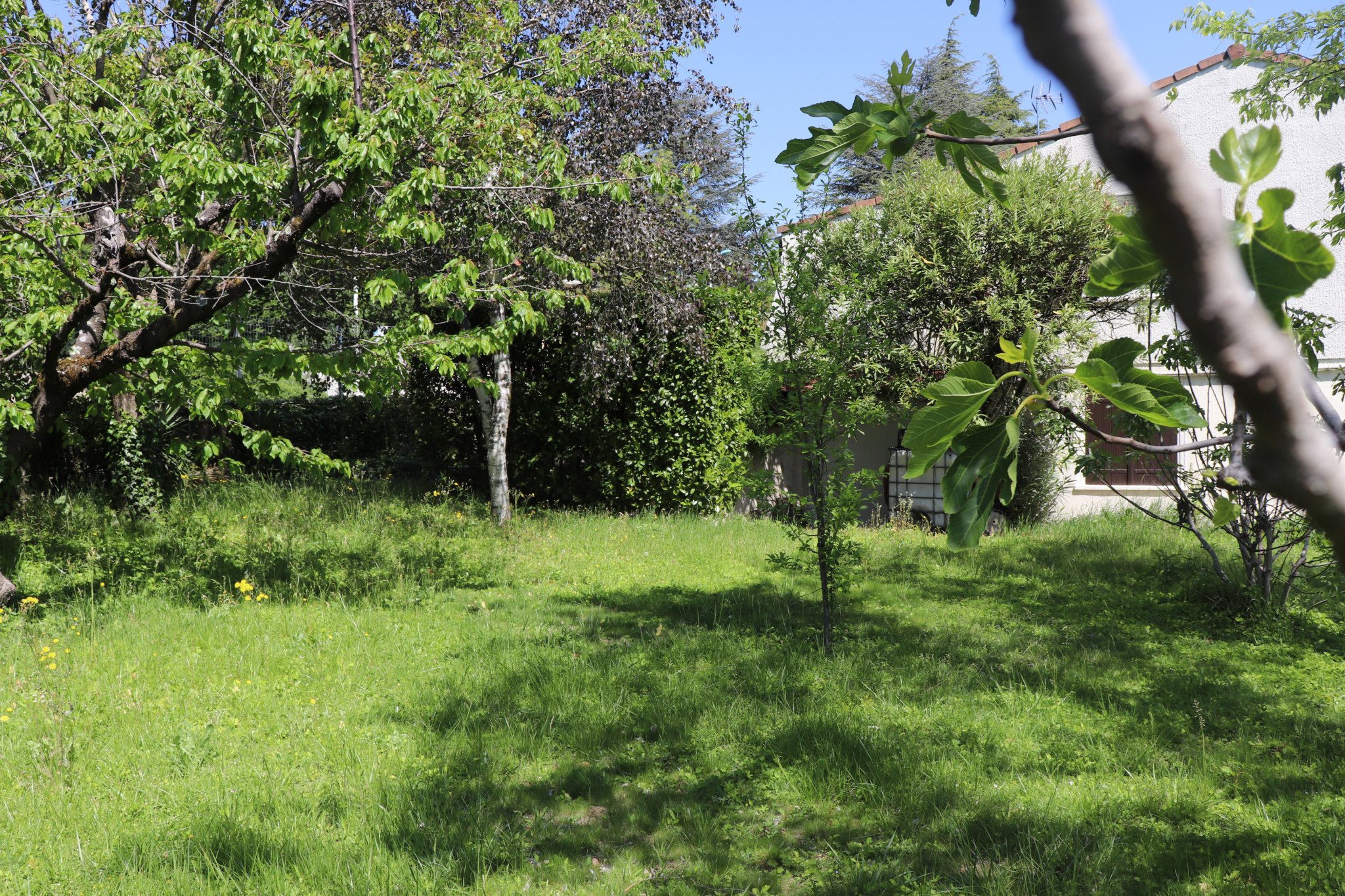 EXCLUSIVITE, maison, 3 chambres, terrain 800 m2 sur Saint-Pé