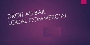 Local commercial 500 m2 : magasin réserve bureau sur VAL