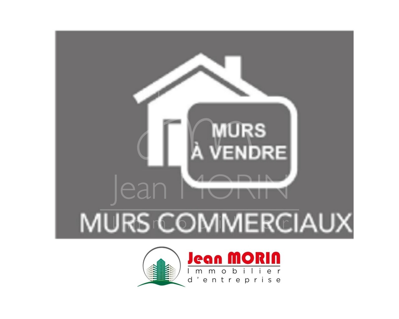 A ROMANS SUR ISERE, Local commercial 425 m²