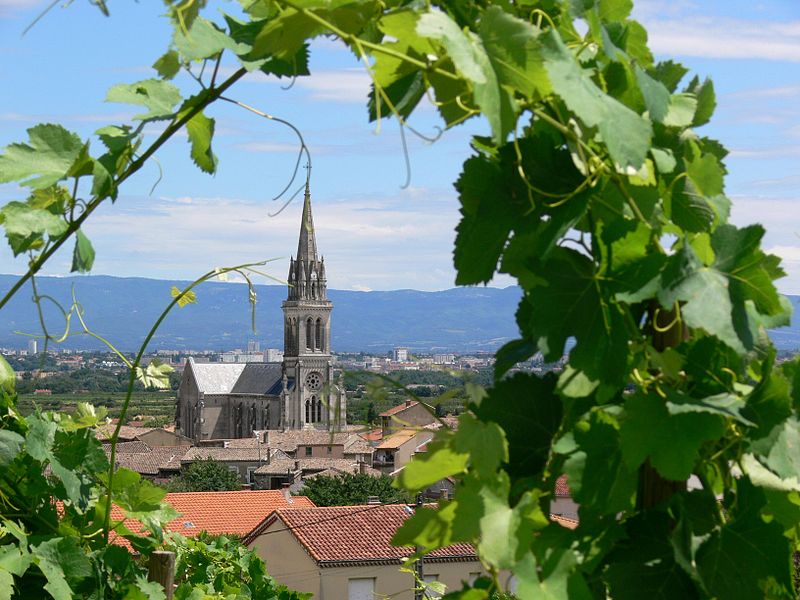 Vue sur Malissard sur Rhône